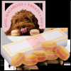 Dog Macarons - Box of 6 (Available in 12 Flavors)