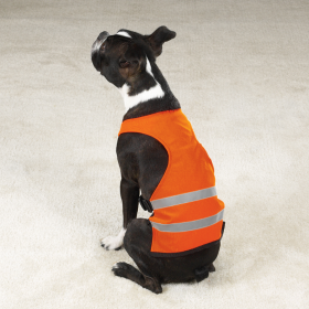 GG Safety Vest (Color: Orange, size: Xsmall)