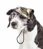 Pet Life 'Torrential Downfour' Camouflage Uv Protectant Adjustable Fashion Dog Hat Cap